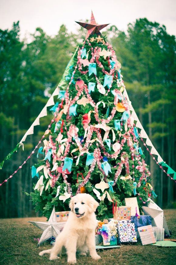 25 Amazing Outdoor Christmas Tree Decorations Ideas - MagMent