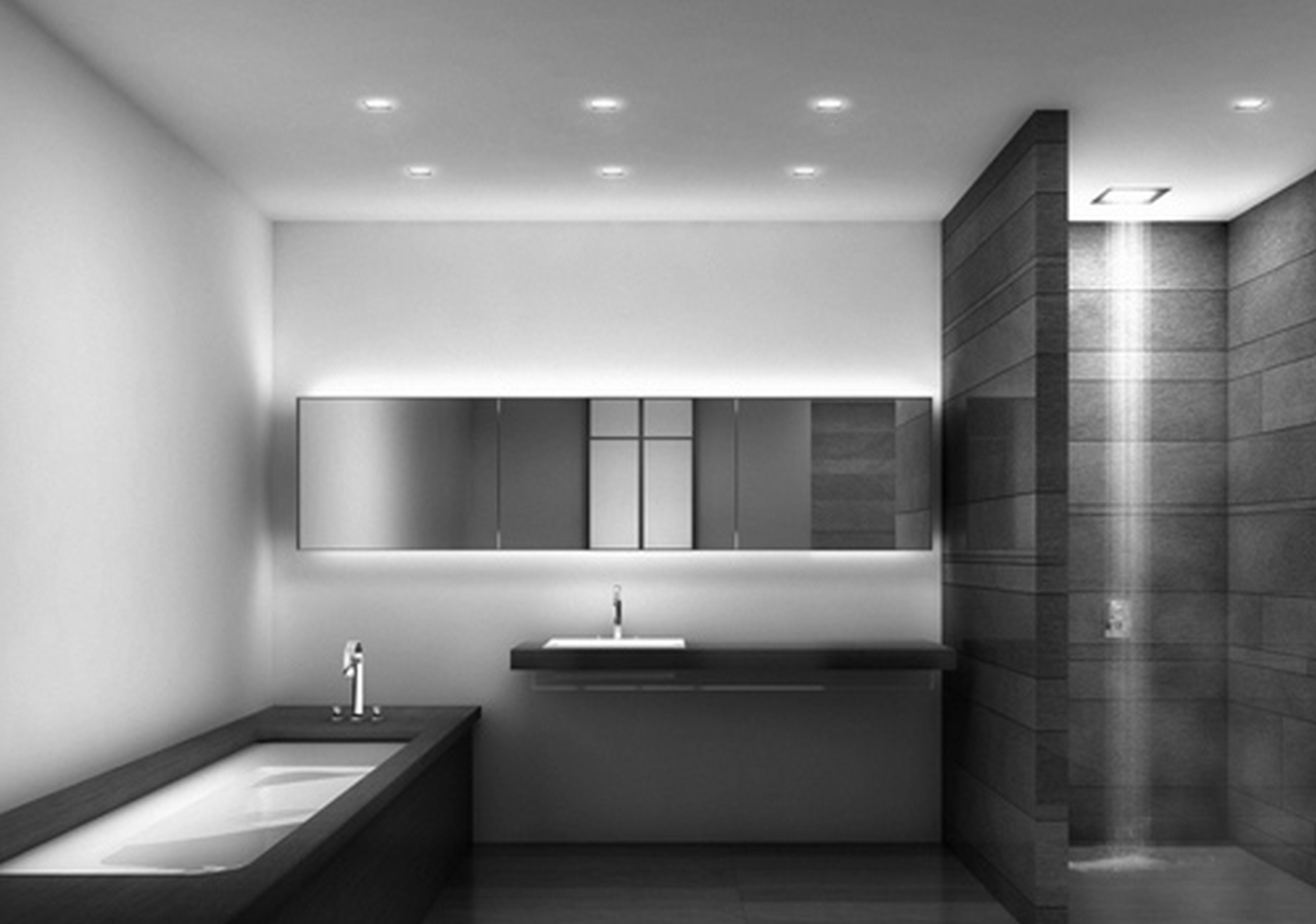 Contemporary Bathroom Designs Ideas