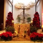 30 Australian Christmas Decorations Ideas
